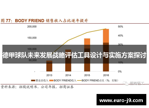 德甲球队未来发展战略评估工具设计与实施方案探讨