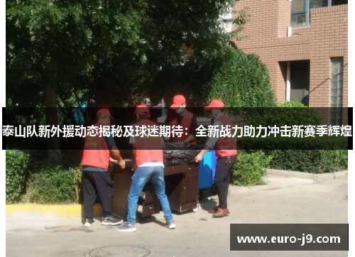 泰山队新外援动态揭秘及球迷期待：全新战力助力冲击新赛季辉煌