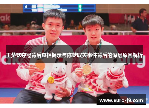 王楚钦夺冠背后真相揭示与陈梦取关事件背后的深层原因解析