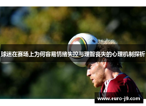 球迷在赛场上为何容易情绪失控与理智丧失的心理机制探析